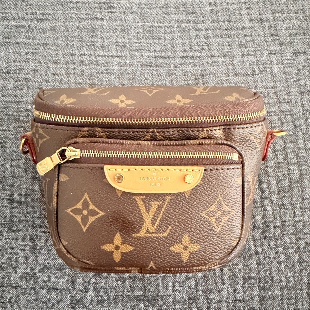 Louis Vuitton Mini Bum Bag (No straps) - Picture 6 of 6